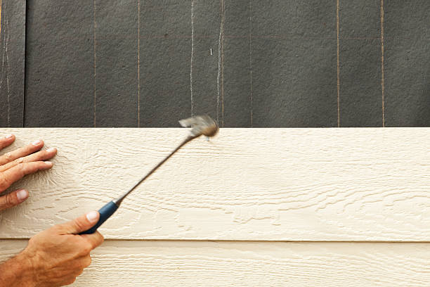Best Siding Painting and Refinishing  in Rome, GA